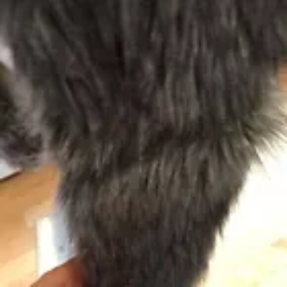 Faux fur grey vest - Picture 8 of 9